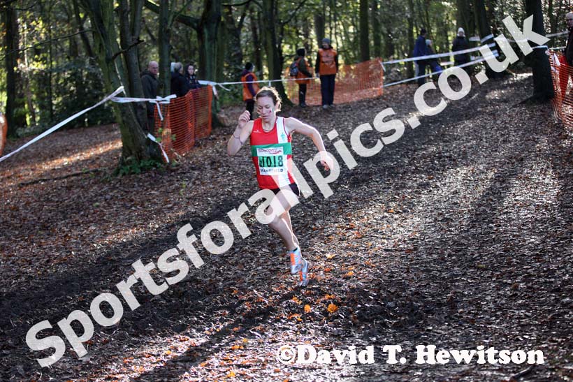 Stephanie Twell (Aldershot Farnham and District) leads the senior womens National Cross Country Relays, Berry Hill Park, Mansfield. Photo: David T. Hewitson/Sports for All Pics